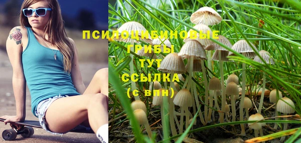 эйфоретик Костерёво