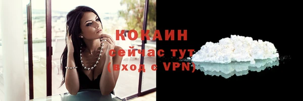 прущая мука Рославль