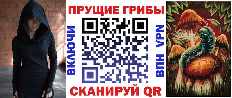 купить   Павловск  Галлюциногенные грибы ЛСД 
